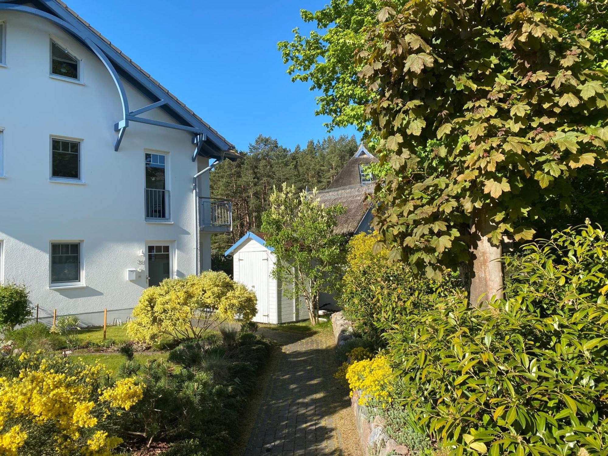 Duenenresidenz Karlshagen - Ferienwohnung Ginsterweg Экстерьер фото